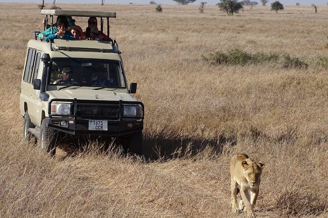3 Days Maasai Mara Small Group Safari in a 4 x4 Land Cruiser Jeep - Key Points You’ll Care About