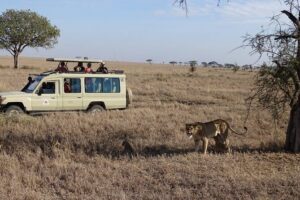 3 Days Maasai Mara Small Group Safari in a 4 x4 Land Cruiser Jeep - Day 1: Mara River Arrival, Check-In, and Afternoon Game Viewing