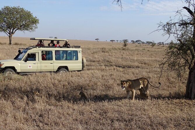 3 Days Maasai Mara Small Group Safari in a 4 x4 Land Cruiser Jeep - Day 1: Mara River Arrival, Check-In, and Afternoon Game Viewing