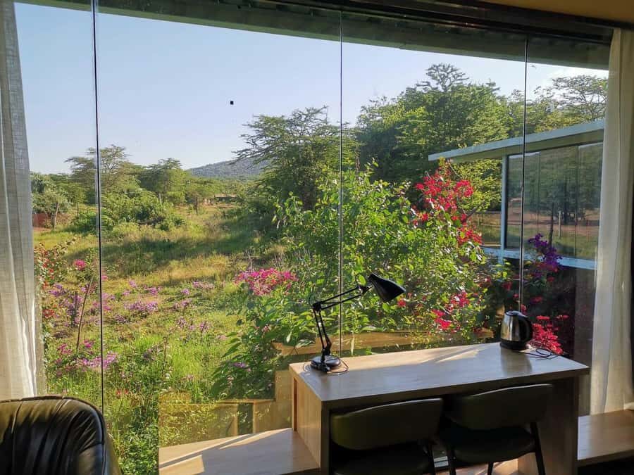 3 Days Maasai Mara Small Group Safari- Jambo Mara Lodge - Should you book 3 Days Maasai Mara Small Group Safari – Jambo Mara Lodge?