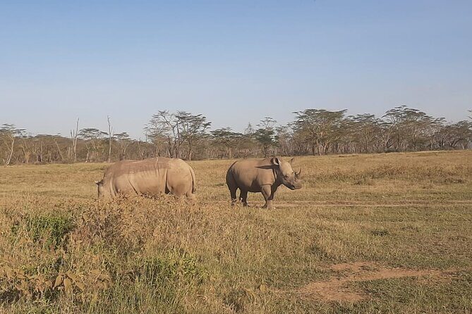 3-Days Maasai Mara unforgettable Adventure- Jeep Private Safari - Who Should Book This 3-Day Private Maasai Mara Safari