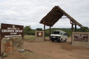 3 Days Masai Mara Budget Safari - Nairobi-to-Maasai Mara driving days: what the long road actually gives you