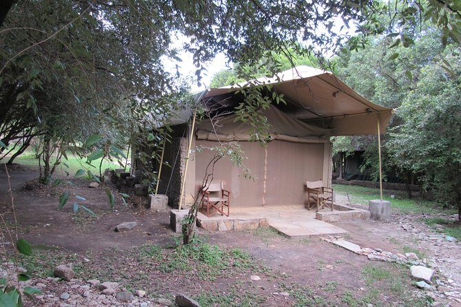 3 Days Masai Mara Budget Safari - Day 3: the last morning and the return drop-off plan