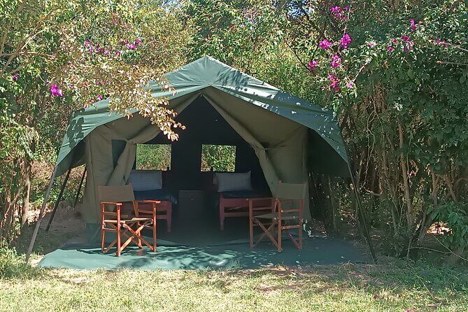 3 Days Masai Mara Camping Safari - Wildlife expectations that match how the safari is planned