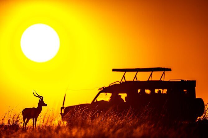3 days Masai Mara on Private 4x4 Land Cruiser - Lodging and meals: what all-inclusive means on the ground