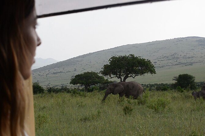 3 days Masai Mara on Private 4x4 Land Cruiser - Price and value: is $3,360 per person a fair deal?