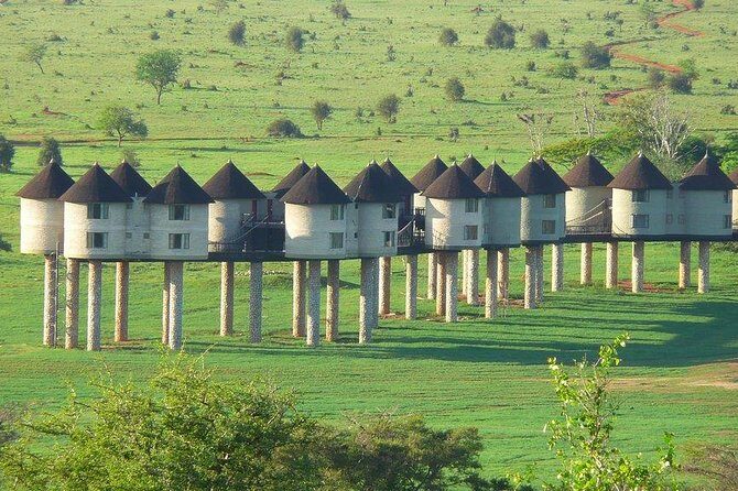 3 days safari Tsavo East and Taita hills (Saltlick lodge) - Key highlights worth the hype