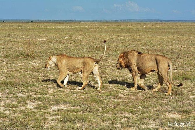 3 days safari Tsavo East and Taita hills (Saltlick lodge) - The Voi lodge break: lunch, rest, and a smoother evening