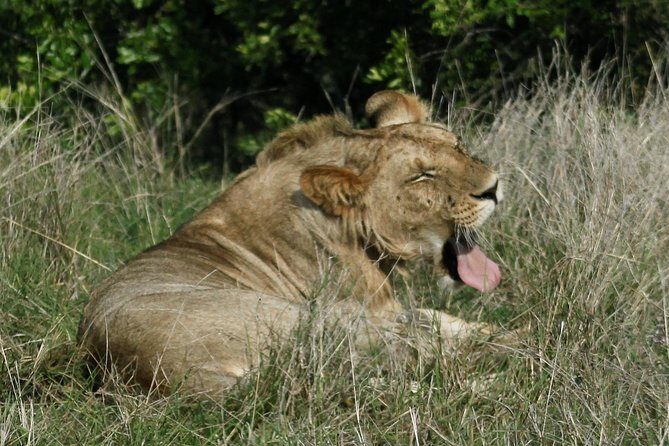 3 Days(2 nights) Tsavo East Tour & Saltlick (Cost based on minimum 2 persons) - What’s included (and what you’ll handle yourself)