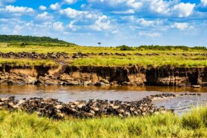 3days/2nights group joining Masai Mara with Masai Village Visit - Day 1: Arrival, Camp Setup, and an Evening Game Drive