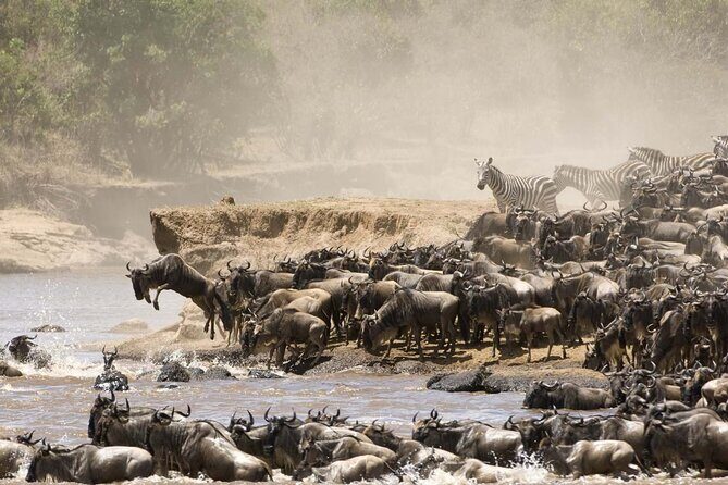 3days/2nights group joining Masai Mara with Masai Village Visit - Price and Park Fees: What $256 Really Means