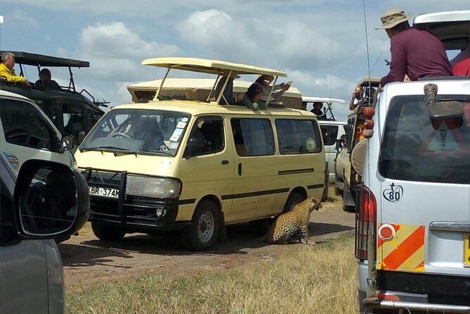 3days/2nights group joining Masai Mara with Masai Village Visit - Meals, Timing, and Comfort: The Practical Stuff That Shapes Your Safari