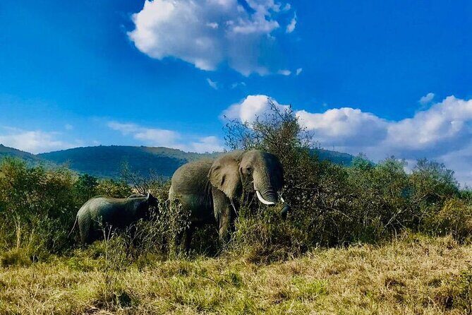 3days/2nights group joining Masai Mara with Masai Village Visit - Who This Safari Suits Best (And Who Might Prefer Different Options)