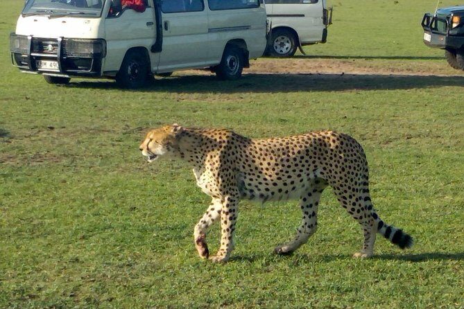 3Days 2nights Masai Mara group joining safari - Key points to know before you join