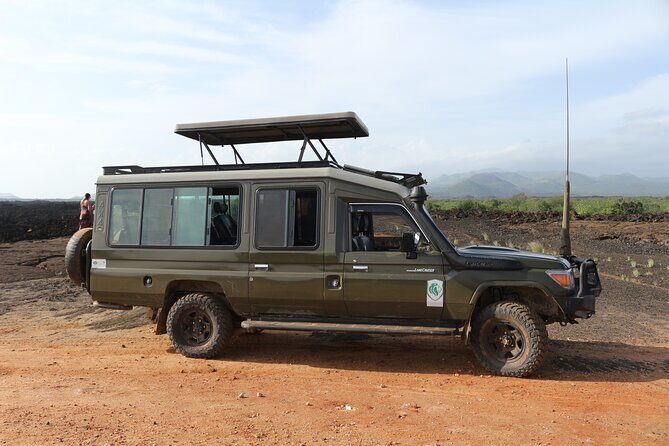 4-Day Maasai Mara and Lake Nakuru Safari from Nairobi - Vehicle, guiding, and the “feel” of the trip