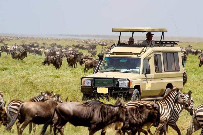 4 Day Masai Mara & Lake Nakuru Group Joining Camping Safari - Daily Departures - Price and what you actually get from Nairobi