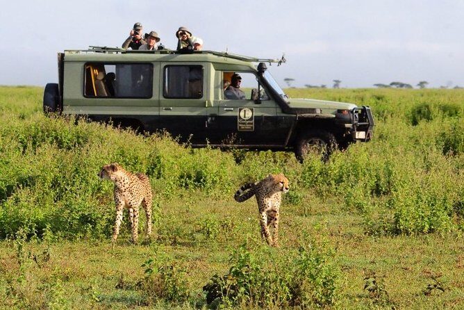 4 Day Masai Mara & Lake Nakuru Group Joining Camping Safari - Daily Departures - Guides and small-group rhythm: the difference between seeing and finding