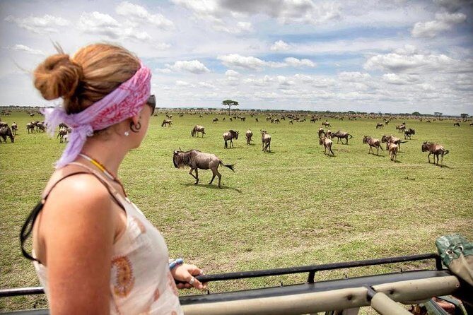 4 Day Masai Mara & Lake Nakuru Group Joining Camping Safari - Daily Departures - Who this safari suits best
