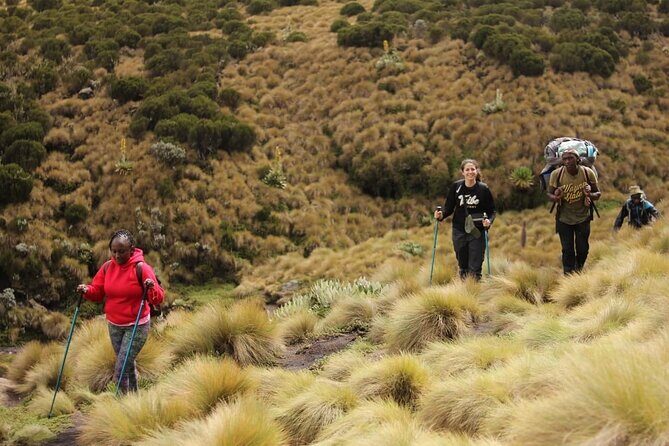 4-Day Mount Kenya Trekking with Pick Up - Day 1: Sirimon Gate to Old Moses Camp (9 km to 3,300m)