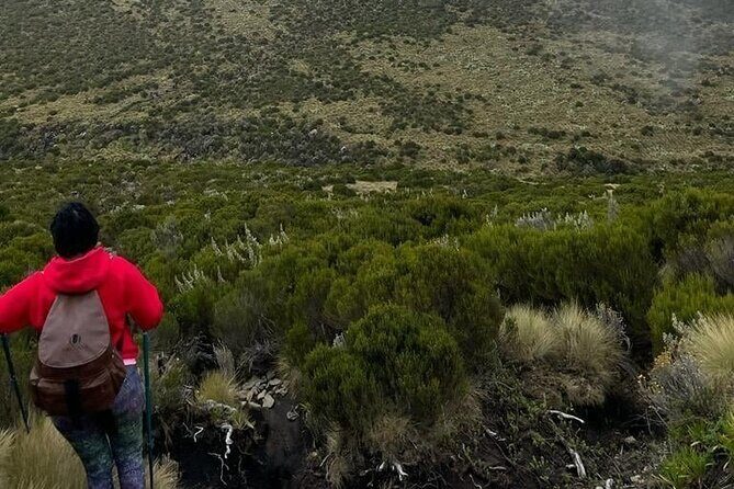 4-Day Mount Kenya Trekking with Pick Up - Who should book this trek (and who might want a different route)