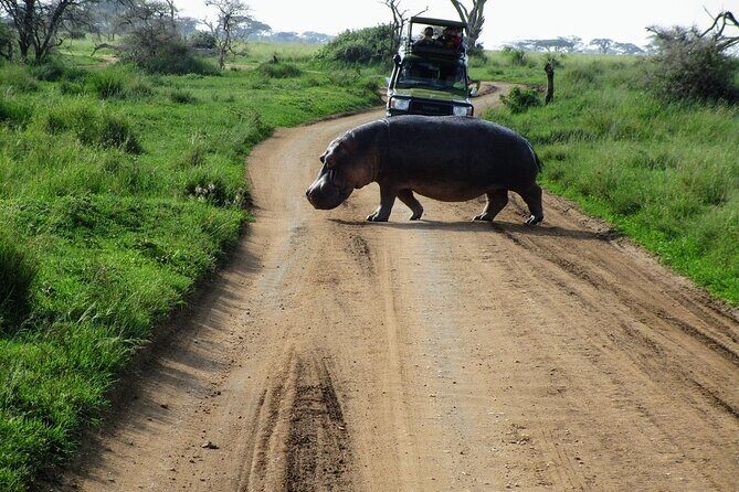 4-Day Tour in Lake Nakuru, Lake Naivash, Masai Mara from Nairobi - Key highlights you should care about