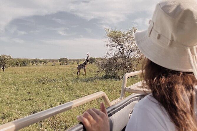 4 Days Masai Mara and Lake Nakuru Mid-Luxury safari - Nairobi to the wildlife circuit: why this route works