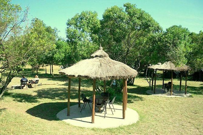 4 Days Masai Mara Camping Safari - Who this safari fits best (and who should think twice)