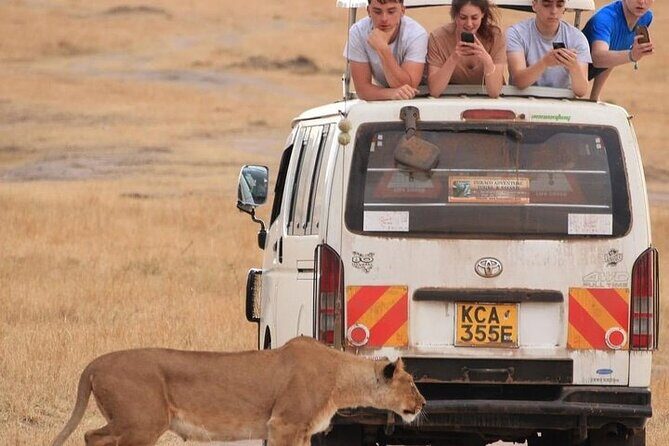 4 Days Masai Mara Lake Nakuru Jeep Safari - Price and what you should expect to pay beyond it