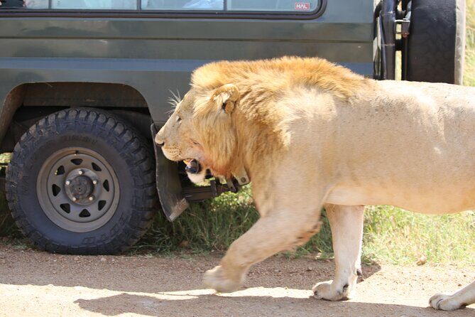 4 Days Masai Mara Lake Nakuru Jeep Safari - Lodges and meals: included basics that keep you comfortable