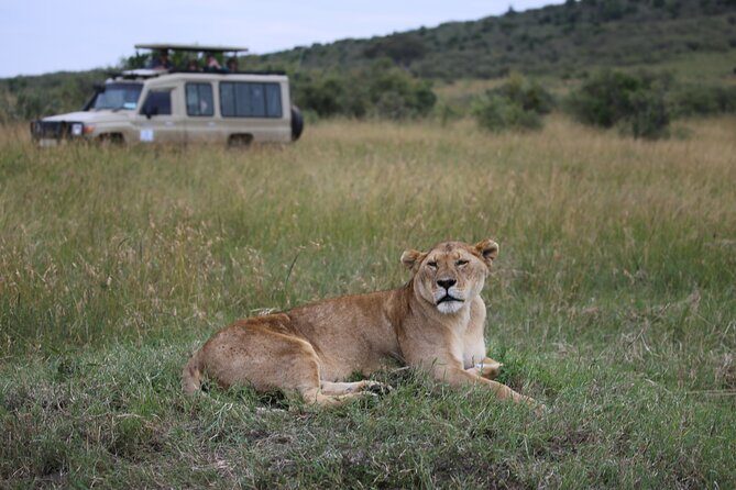 4 Days Masai Mara Lake Nakuru Jeep Safari - Day 1: Rift Valley viewpoints, Narok lunch, then Mara by late afternoon