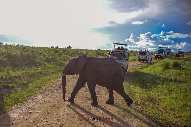 4 Days Safari Adventure Masai Mara and Nakuru Park Group - Day 1: Great Rift Valley viewpoint, then a Masai Mara sunset drive