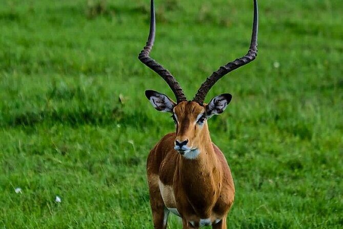 4day Maasai Mara, Lake Nakuru, and Lake Naivasha - Hell’s Gate by bicycle: getting hands-on in the Rift Valley