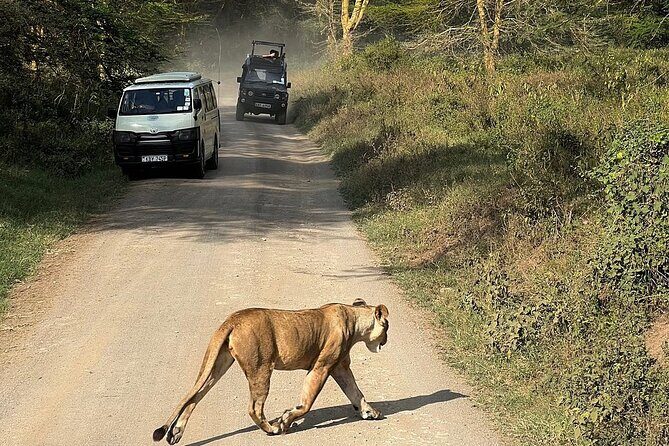 4day Maasai Mara, Lake Nakuru, and Lake Naivasha - What you should pack for this route