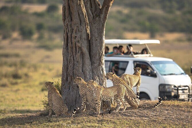 5-Day Lakes and Masai Mara Plains 4 x 4 Safari - Should you book it?