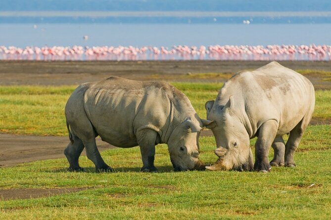 5-Day Masai Mara Lake Nakuru and Naivasha Small-group Safari Tour - Day 5: Hell’s Gate National Park on foot or bike, plus Ol Karia hot springs