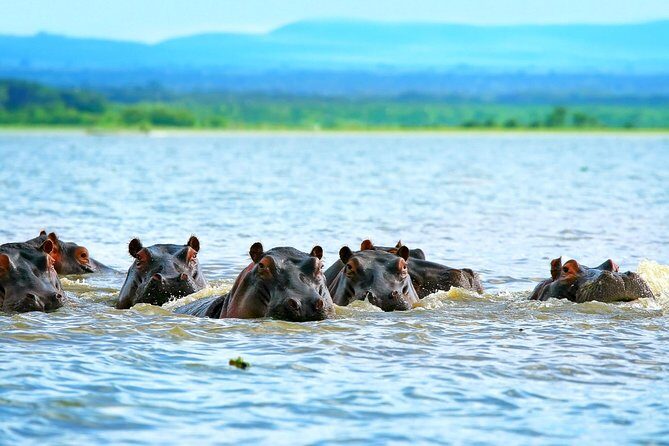 5 Days Hell's Gate, L. Naivasha, L. Nakuru & Masai Mara Luxury Safari - Key highlights at a glance