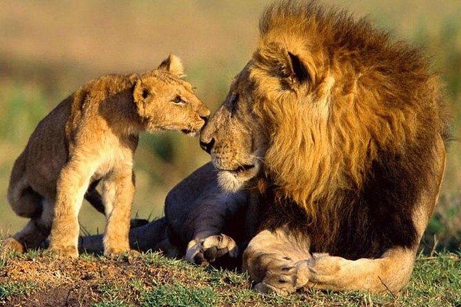 5 Days Hell's Gate, L. Naivasha, L. Nakuru & Masai Mara Luxury Safari - Hell’s Gate on foot: where Kenya feels close-up