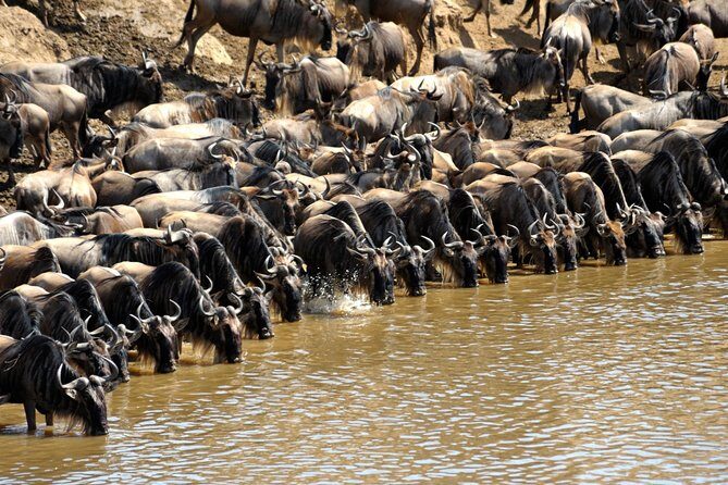 5 Days Hell's Gate, L. Naivasha, L. Nakuru & Masai Mara Luxury Safari - Lodging comfort: what luxury looks like on this route