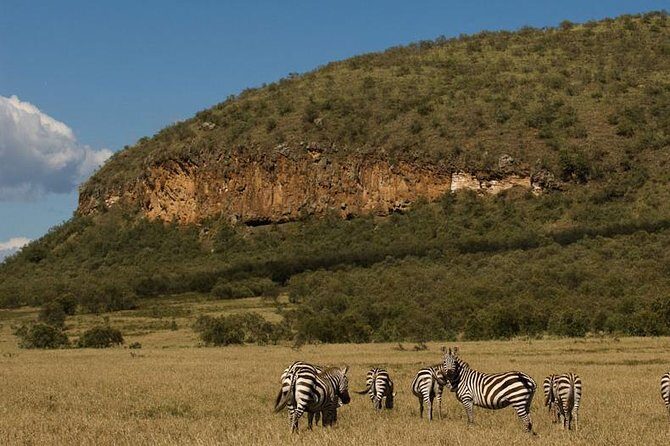 5 Days Maasai mara, Lake Nakuru, samburu private lodge safari - Lake Nakuru: rhinos and flamingoes in a tight one-day pivot