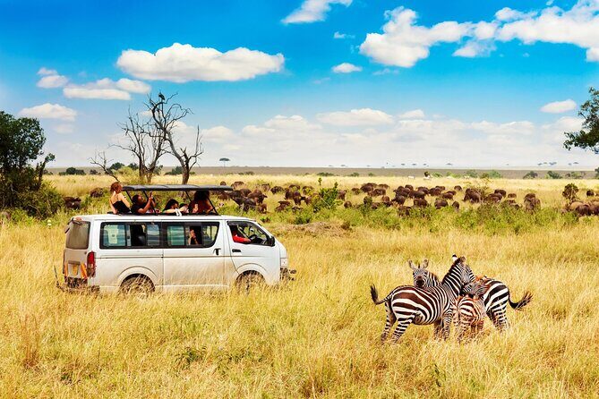 5 Days Masai Mara, Lake Nakuru & Naivasha Budget Joining Safari - Day 3: Lake Nakuru National Park, birds, and an optional Masai Village stop