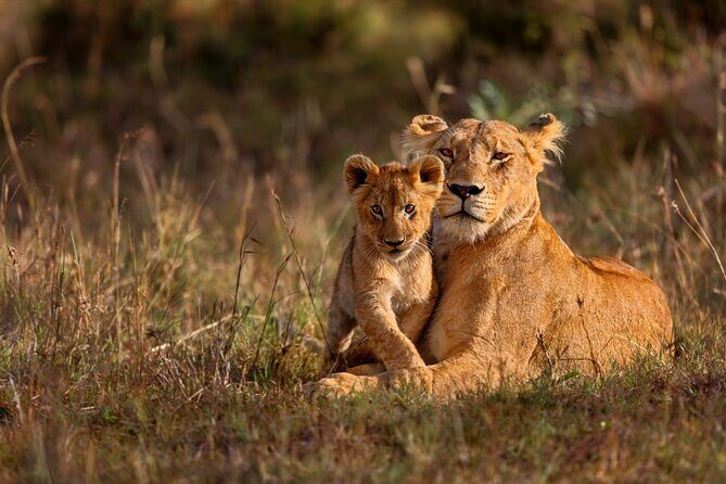 5 Days Masai Mara, Lake Nakuru & Naivasha Budget Joining Safari - Day 5: Hell’s Gate National Park on foot or by bike, plus Ol Karia geothermal