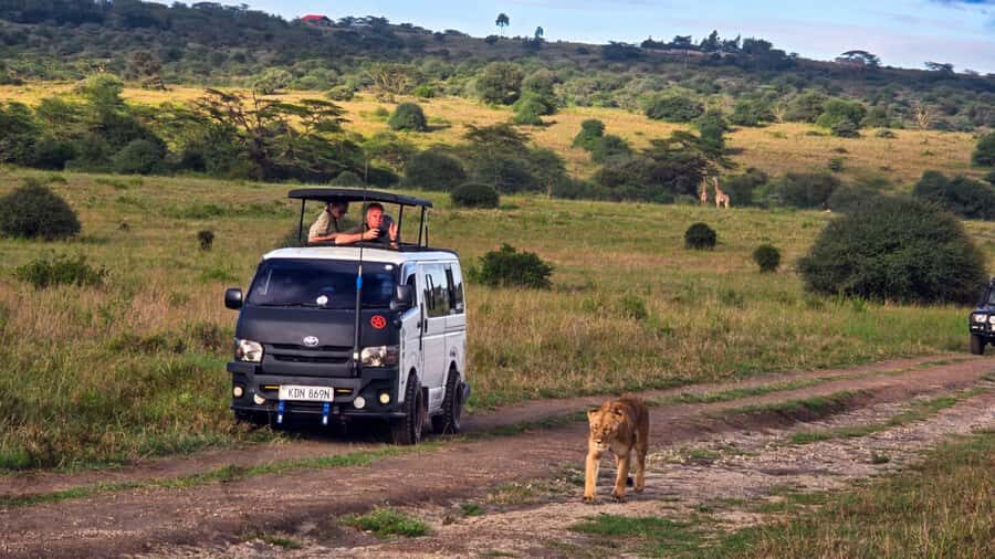 5-Hour Nairobi National Park 4x4 Safari with Free Pickup - Nairobi National Park: a safari next to the city