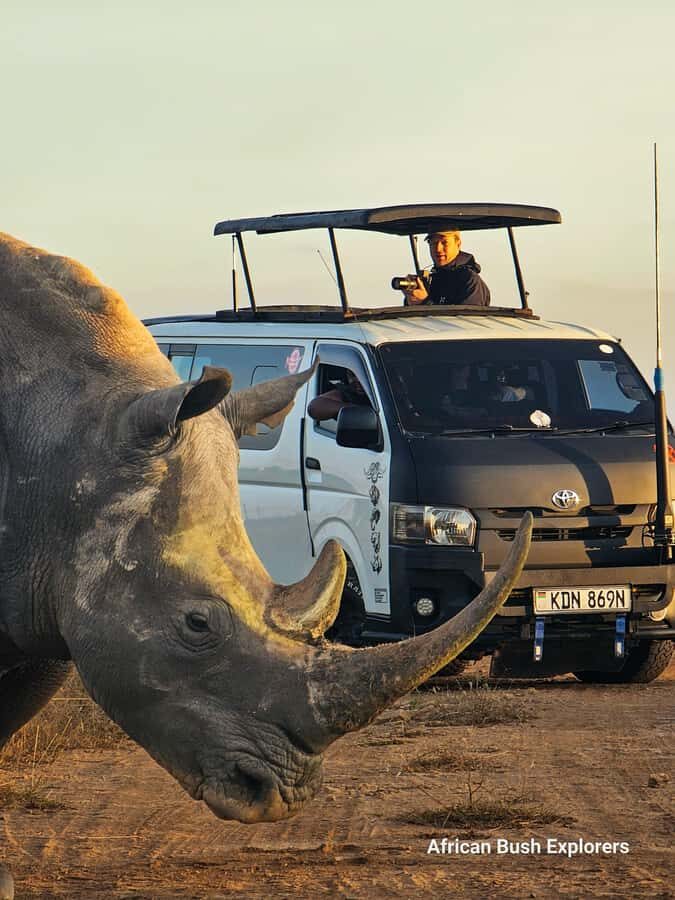 5-Hour Nairobi National Park 4x4 Safari with Free Pickup - The open-roof 4x4 game drive: where sightings click