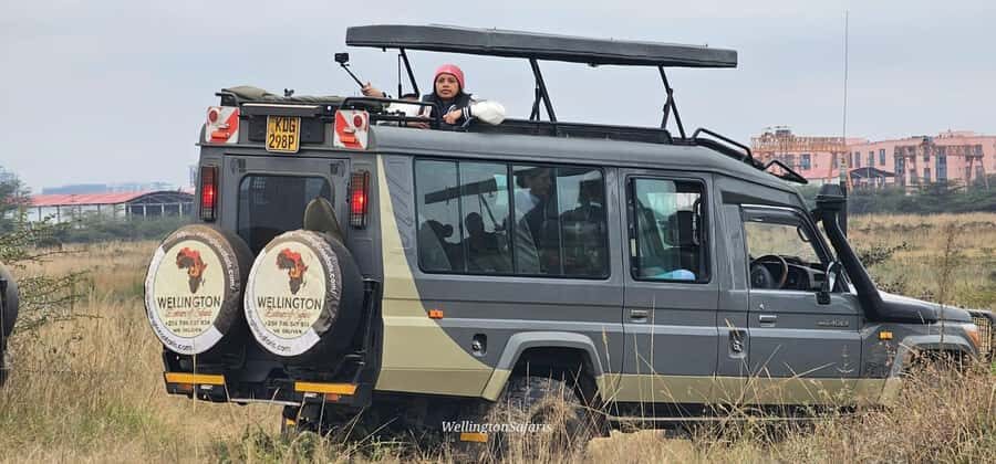 5-Hour Nairobi National Park 4x4 Safari with Free Pickup - Birdwatching bonus: cranes, ostriches, and 400+ species