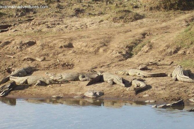 6 days guided safari: nairobi / lake nakuru / lake naivasha / masai mara n r - Two Masai Mara days (including a full day on Day 5): better odds, better memories