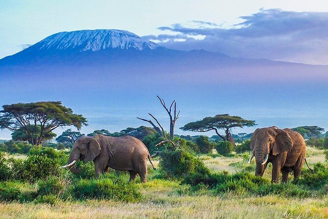 6 Days Masai Mara, Lake Nakuru & Amboseli-Ultimate Kenyan Safari - Day 1: Nairobi to Masai Mara with Great Rift Valley Views