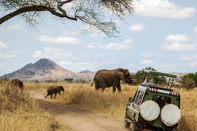 6 Days Masai Mara, Lake Nakuru and Amboseli Budget Group Safari - Amboseli National Park: jumbo elephants and Kilimanjaro in the frame