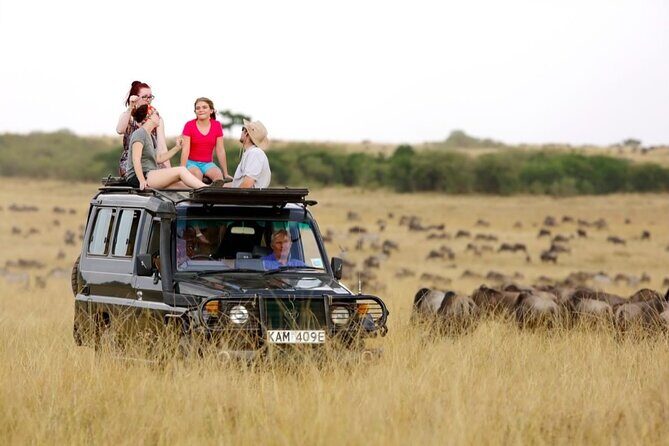 6-Days Masai Mara, Nakuru & Amboseli Group Safari on Landcruiser - Day 5: Amboseli full day and the Kilimanjaro viewing moment