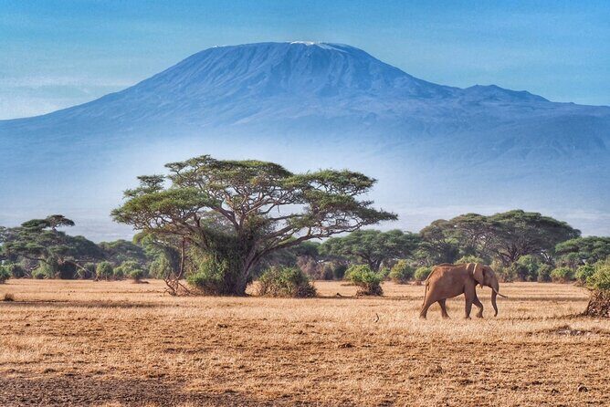 6-Days Masai Mara, Nakuru & Amboseli Group Safari on Landcruiser - Price and what $1,220 buys you in the real world