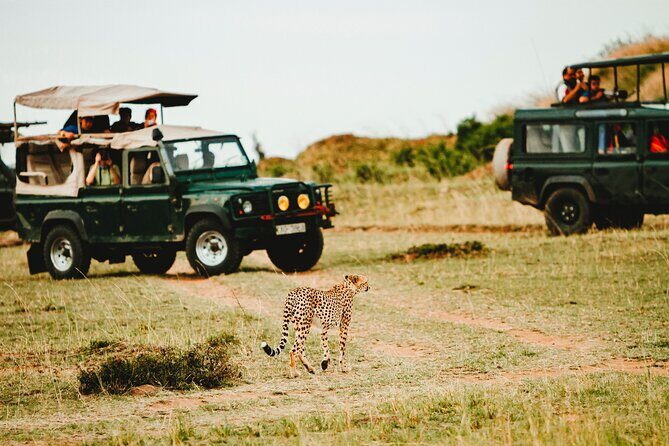 6 Days of Kenyan Wonders: Amboseli, Lake Nakuru, and Masai Mara - Lake Nakuru: flamingos, rhinos, and a tight focus on wildlife
